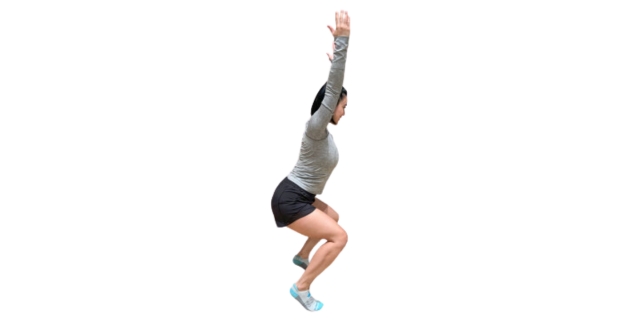 Intro to Total Body Mobility  Fitness Health Track